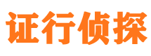 龙井侦探